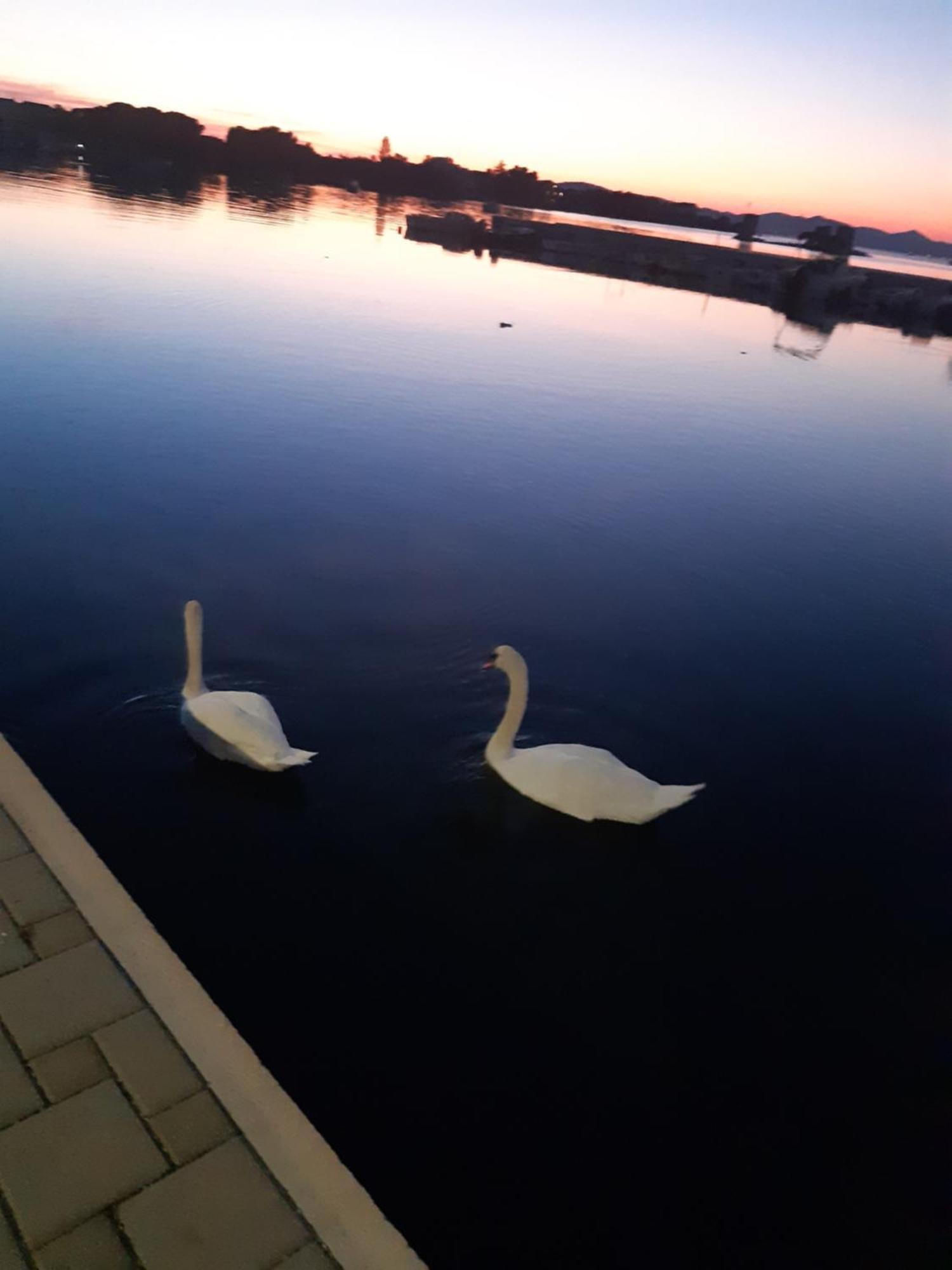 Apartman Barbir Sukošan Exteriör bild
